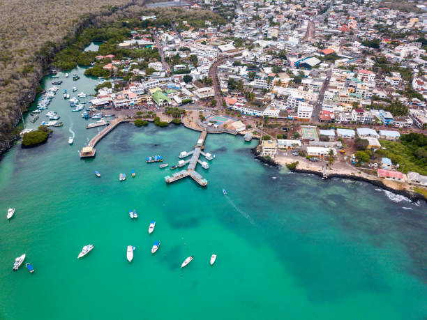 Galapagos High End Office